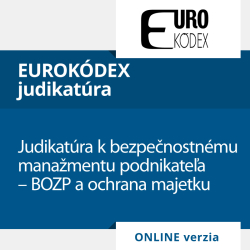 Judikatra k bezpenostnmu manamentu podnikatea  BOZP a ochrana majetku (ONLINE verzia)