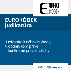 Judikatra k nhrade kody v obianskom prve  konkrtne prvne vzahy (ONLINE verzia)