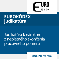 Judikatra k nrokom z neplatnho skonenia pracovnho pomeru (ONLINE verzia)