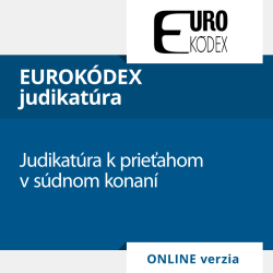 Judikatra k prieahom v sdnom konan (ONLINE verzia)