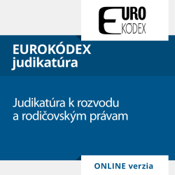 Judikat�ra k rozvodu a rodi�ovsk�m pr�vam (ONLINE verzia)
