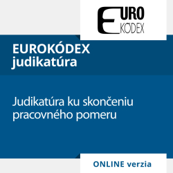 Judikatra ku skoneniu pracovnho pomeru (ONLINE verzia)